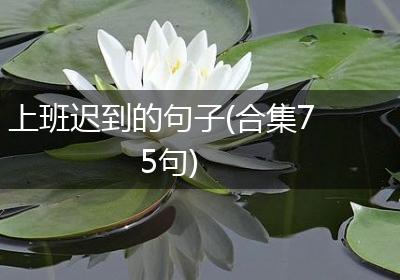 上班迟到的句子(合集75句)