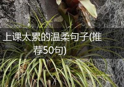 上课太累的温柔句子(推荐50句)