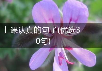 上课认真的句子(优选30句)