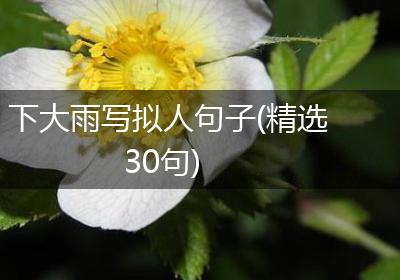下大雨写拟人句子(精选30句)
