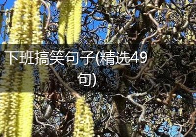 下班搞笑句子(精选49句)