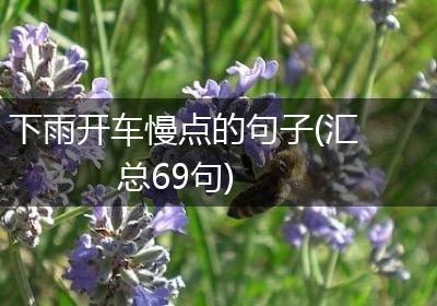 下雨开车慢点的句子(汇总69句)