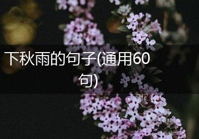 下秋雨的句子(通用60句)