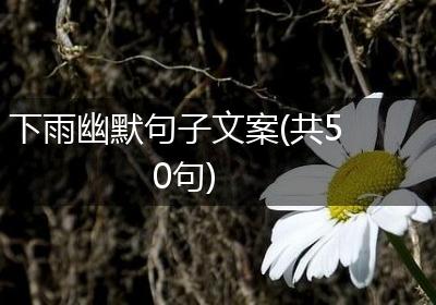下雨幽默句子文案(共50句)