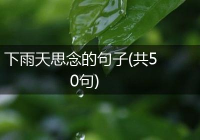 下雨天思念的句子(共50句)