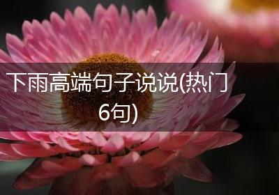 下雨高端句子说说(热门6句)