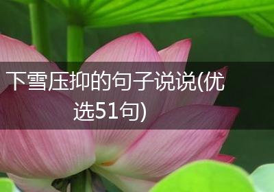 下雪压抑的句子说说(优选51句)