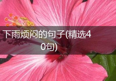 下雨烦闷的句子(精选40句)