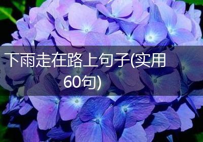 下雨走在路上句子(实用60句)