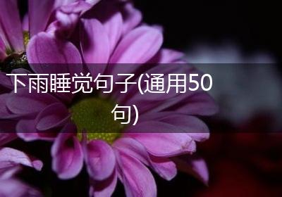 下雨睡觉句子(通用50句)