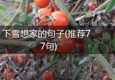 下雪想家的句子(推荐77句)