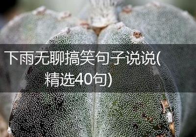 下雨无聊搞笑句子说说(精选40句)