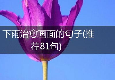 下雨治愈画面的句子(推荐81句)