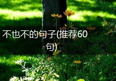 不也不的句子(推荐60句)