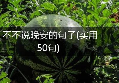 不不说晚安的句子(实用50句)