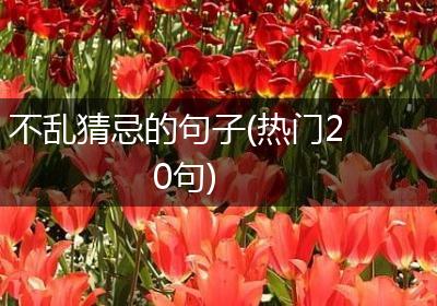 不乱猜忌的句子(热门20句)