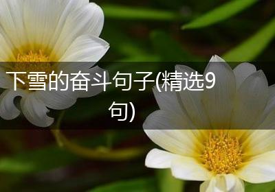 下雪的奋斗句子(精选9句)