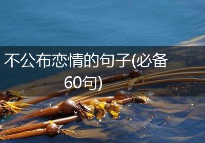 不公布恋情的句子(必备60句)