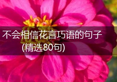 不会相信花言巧语的句子(精选80句)