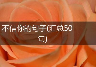 不信你的句子(汇总50句)
