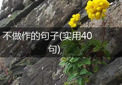 不做作的句子(实用40句)