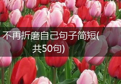 不再折磨自己句子简短(共50句)