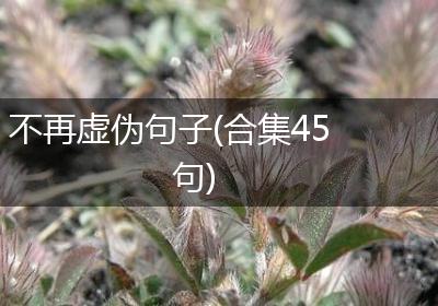 不再虚伪句子(合集45句)