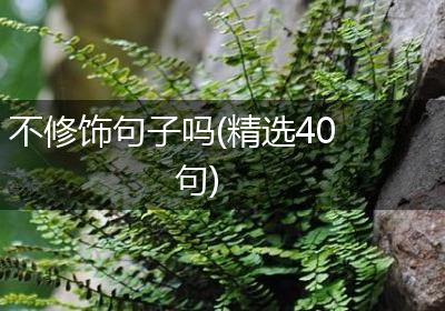 不修饰句子吗(精选40句)