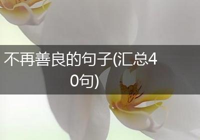 不再善良的句子(汇总40句)