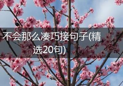 不会那么凑巧接句子(精选20句)