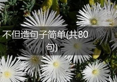 不但造句子简单(共80句)