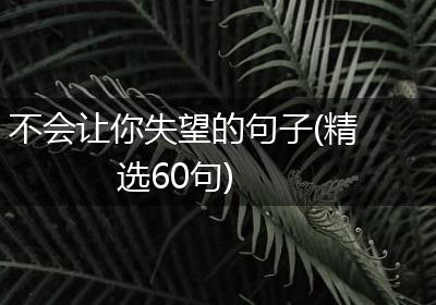 不会让你失望的句子(精选60句)