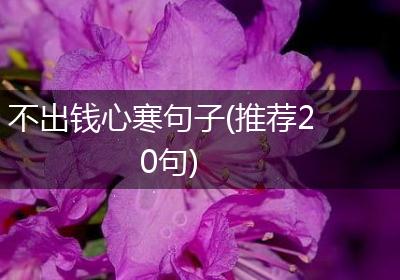 不出钱心寒句子(推荐20句)