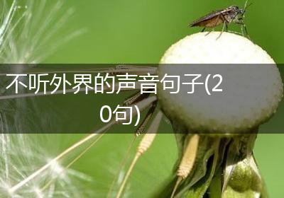 不听外界的声音句子(20句)
