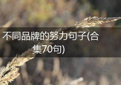 不同品牌的努力句子(合集70句)