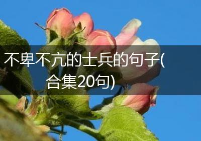 不卑不亢的士兵的句子(合集20句)