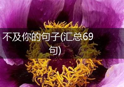 不及你的句子(汇总69句)