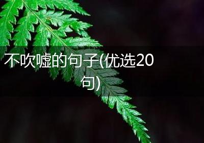不吹嘘的句子(优选20句)