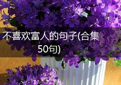 不喜欢富人的句子(合集50句)