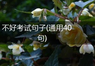 不好考试句子(通用40句)