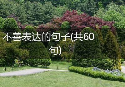 不善表达的句子(共60句)