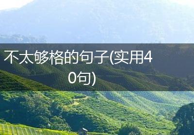 不太够格的句子(实用40句)