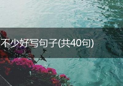 不少好写句子(共40句)