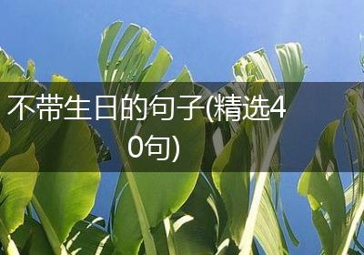 不带生日的句子(精选40句)