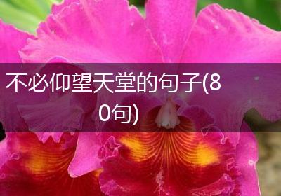 不必仰望天堂的句子(80句)