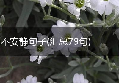 不安静句子(汇总79句)