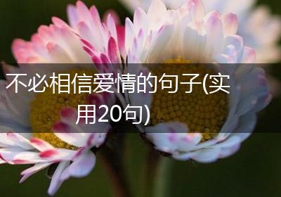 不必相信爱情的句子(实用20句)