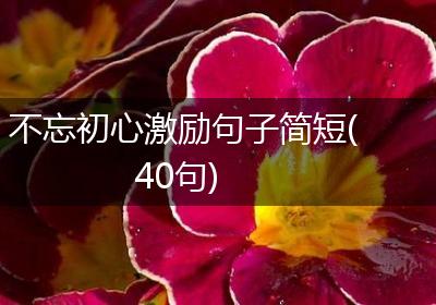 不忘初心激励句子简短(40句)