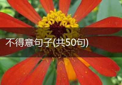 不得意句子(共50句)