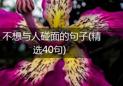 不想与人碰面的句子(精选40句)